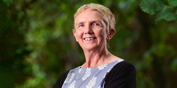 Ann Cleeves books in order