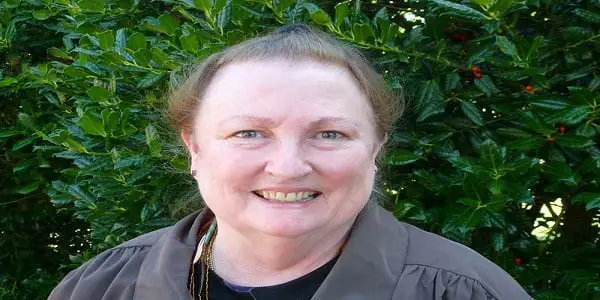 Beverly Connor Books In Order